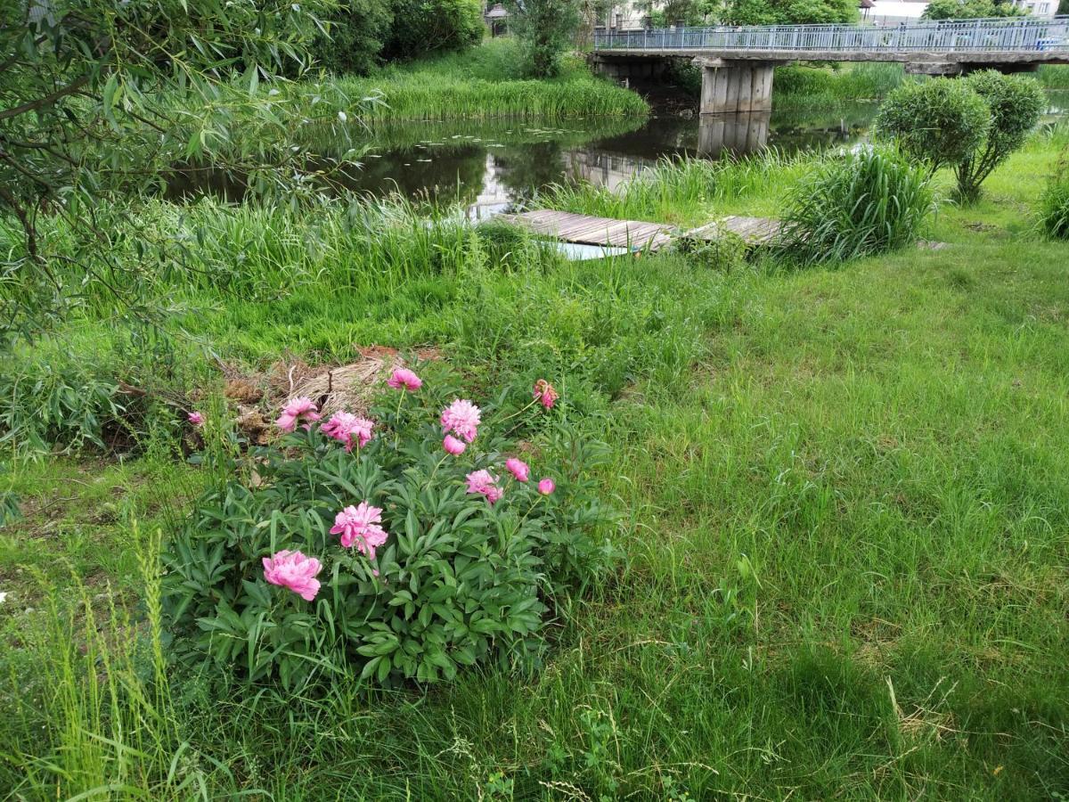 克雷廷加River Side Studio, 9Mi From Palanga, With Sauna别墅 外观 照片